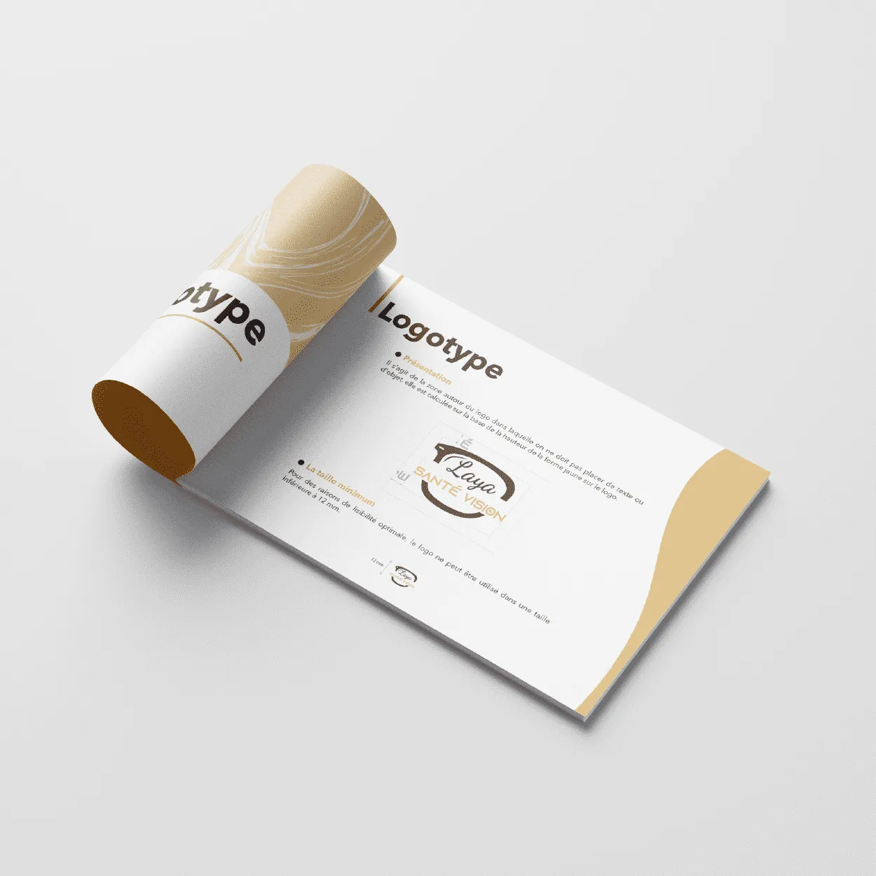 Laya brand guidelines